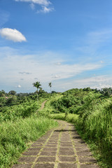 Fototapeta na wymiar Campuhan Ridge Walk, Ubud, Bali, Indonesia.