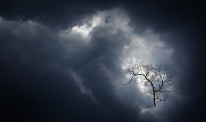 Creepy leafless branches of a tree in  dramatic storm clouds .Abstract background.