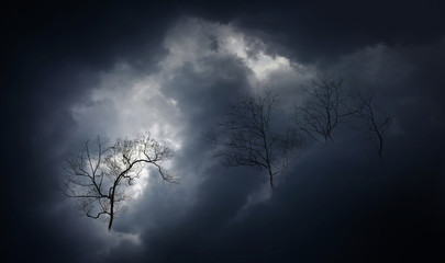 Creepy leafless branches of a tree in  dramatic storm clouds .Abstract background.