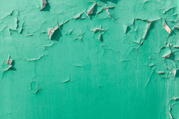 Cracked green paint on the wall. Old painted surface.