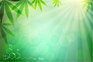 Fototapeta na wymiar Green cannabis leaf drug marijuana herb Background.
