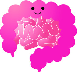 Illustration of a cute large intestine and small intestine