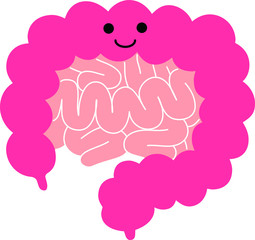 Illustration of a cute large intestine and small intestine