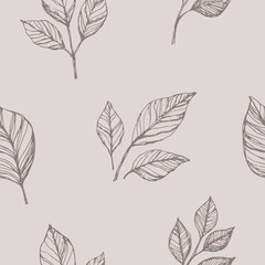 Rose leaf vector seamless pattern. Hand drawn floral vintage background