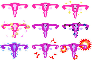 Illustration of a cute uterus set