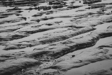 Tidal mudflat. Ripple beach. Low tide. Nature at coastal. Gray background for sad life in the bad day concept. Sea beach in the evening. Tidal phenomenon at seashore.