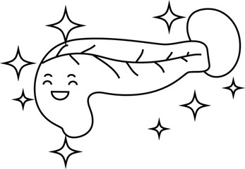 Illustration of a cute pancreas and spleen outline