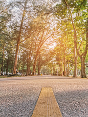 Obraz premium some one public park with the sunlight and warm weather of Prachuap Khiri Khan province at Thailand 