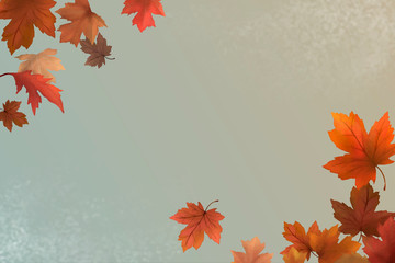 Autumn leaves background