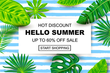 Summer sale banner with tropical leaves. Place for text. Template for poster, web, invitation, flyer.