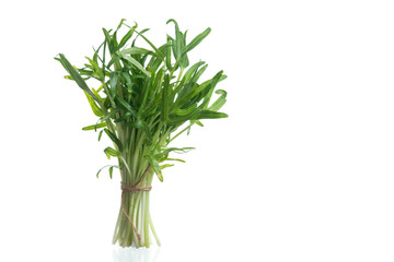 Water spinach sprouts and Germination of spinach