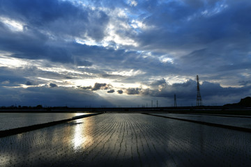 ５月の夕景