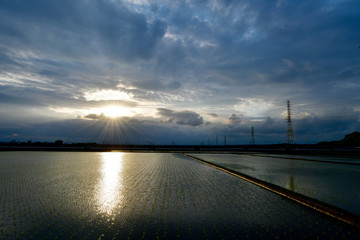 Obraz premium ５月の夕景