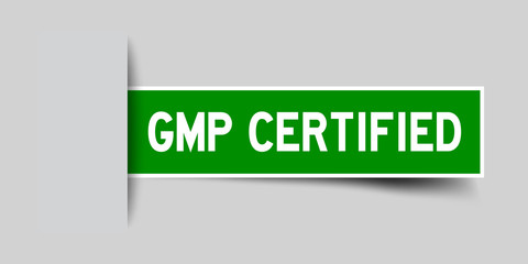 Label square green sticker in word GMP (Good manufacturing practice) certified that insert under gray background (vector)