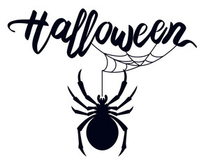 Halloween spider silhouette vector illustration