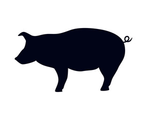 Pig or swine silhouette vector illustration