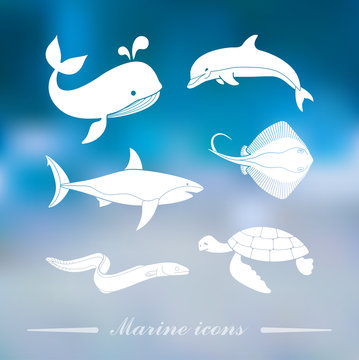 Collection of icons of sea inhabitants in flat style on the Colorful background with defocused lights