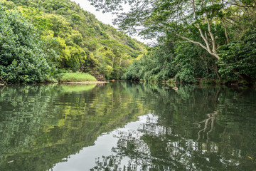 Reflection and ripples on the Wailua River, Kauai