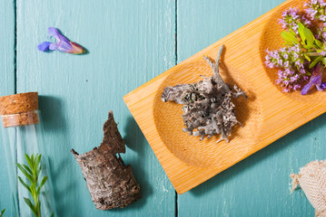 alternative medicine, herbs, proofs on blue wooden table