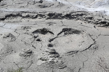 Active mud pool in Te Puia Thermal Reserve in Rotorua, New Zealand. Rotorua is famed for its geothermal activity 