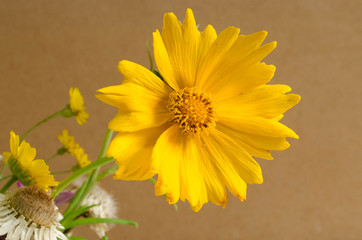 bouquet of yellow flowers on a background