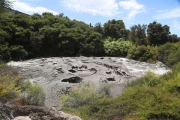 Fototapeta na wymiar Active mud pool in Te Puia Thermal Reserve in Rotorua, New Zealand. Rotorua is famed for its geothermal activity 