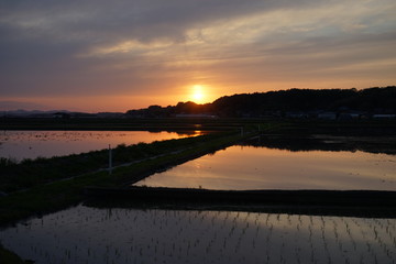 田園の夕景