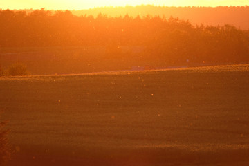 Blurred image of  colorful sunset with sunray and huge amounts of buoyant pollen granules flying...