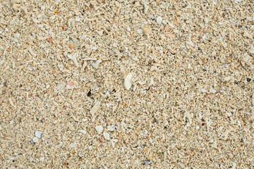Sand texture background, Small shells Broken coral , natural sand at the beach close up.