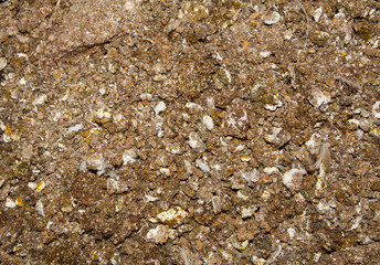 chicken litter isolated on white background