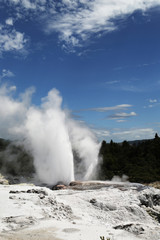 Pohutu Geyser in Te Puia National Park, Rotorua, New Zealand