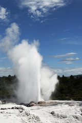 Pohutu Geyser in Te Puia National Park, Rotorua, New Zealand