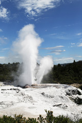 Pohutu Geyser in Te Puia National Park, Rotorua, New Zealand