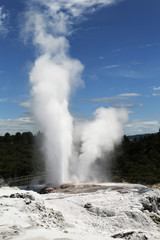 Pohutu Geyser in Te Puia National Park, Rotorua, New Zealand