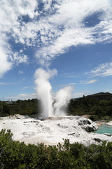 Pohutu Geyser in Te Puia National Park, Rotorua, New Zealand
