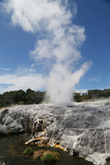 Pohutu Geyser in Te Puia National Park, Rotorua, New Zealand