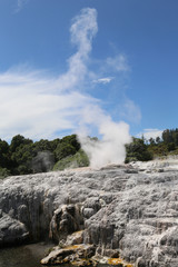 Pohutu Geyser in Te Puia National Park, Rotorua, New Zealand