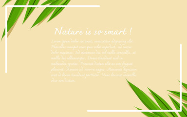 Background with frame and leaves. Flat lay herbs greenery leaf frame border. Top view vector illustration with copy space for text.