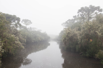 fog on river