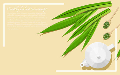 Healthy herbal tea concept. Alternative medicine from herbs. A teapot with dried and fresh pandan leaves. Top view. Flat lay. Copy space. Vector illustration.