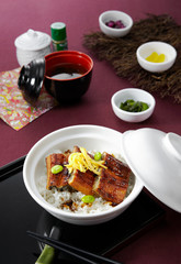 Delicious Japanese cuisine atmosphere, grilled squid rice