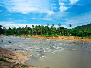 Oya river in Sri Lanka, Pinnawala Elephant Orphanage.