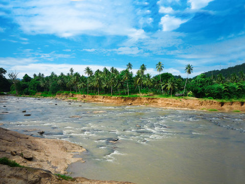 Oya river in Sri Lanka, Pinnawala Elephant Orphanage.