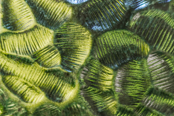 abstract background of green and yellow and blue strips