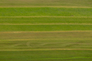 aerial picture of  meadow