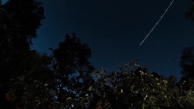 Misty Queensland nightlapse rising over gumtrees to see stars and light-trails from planes