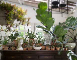 Fototapeta na wymiar Decoration living room interior style green eco environmental with plant