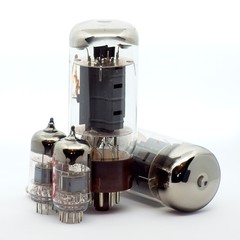 Used vacuum tubes from my guitar amplifier