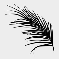 Black silhouette of palm leaf on white background. Isolated vector pattern.