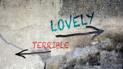 Wall Graffiti to Lovely versus Terrible